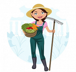 Сад. Огород.