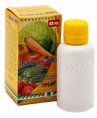 Байкал ЭМ - 1