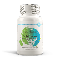 Эхинацея     