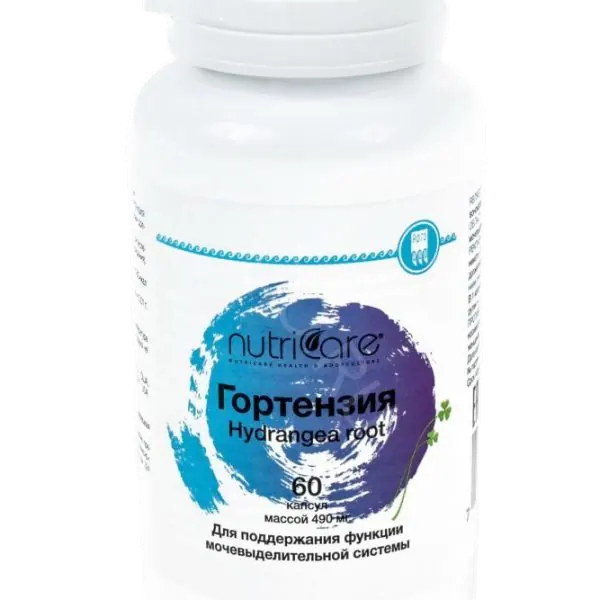 Гортензия TSN