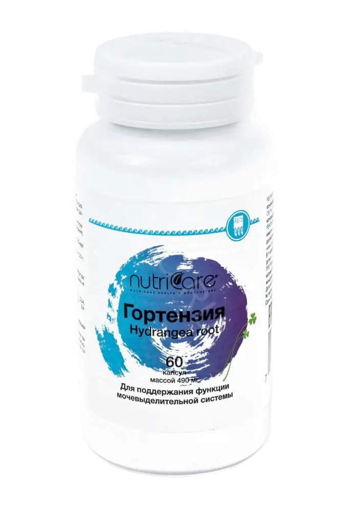 Гортензия TSN
